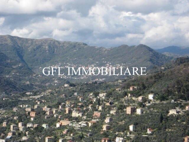 Contesto