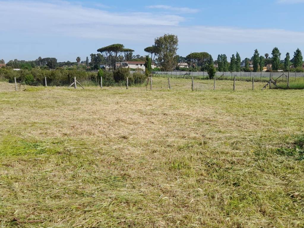 Terreno agricolo via isillo 68, casal palocco, roma