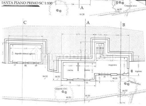 Pianta piano T