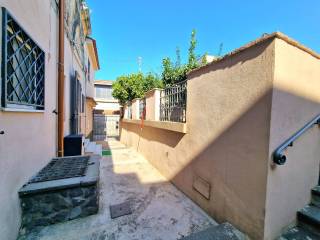 Zona