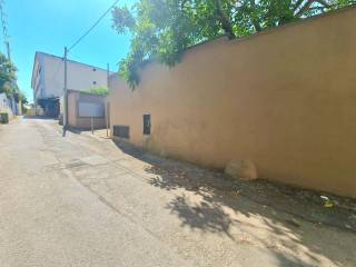 Zona