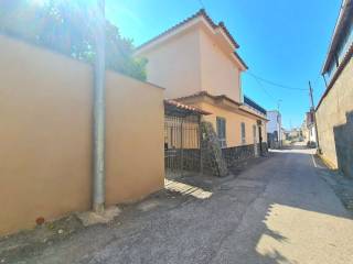 Zona