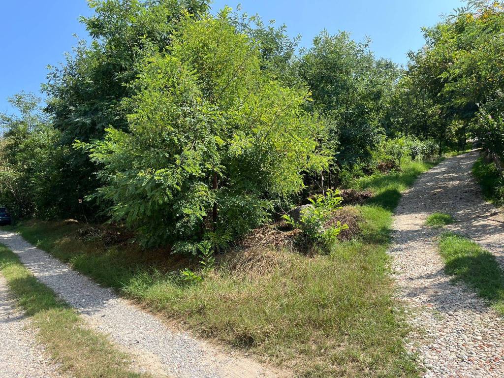 Terreno edificabile strada del brione 10, centro, miradolo terme