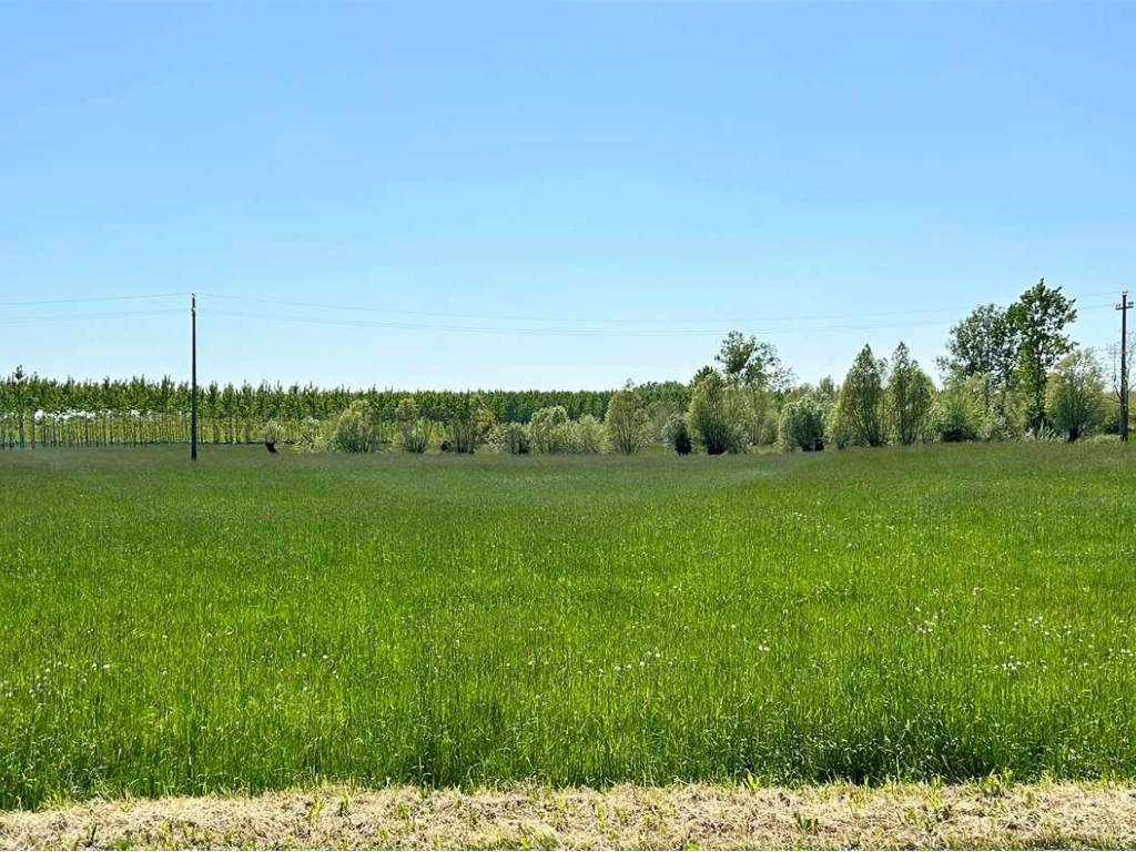 Terreno agricolo, aviano castello, aviano