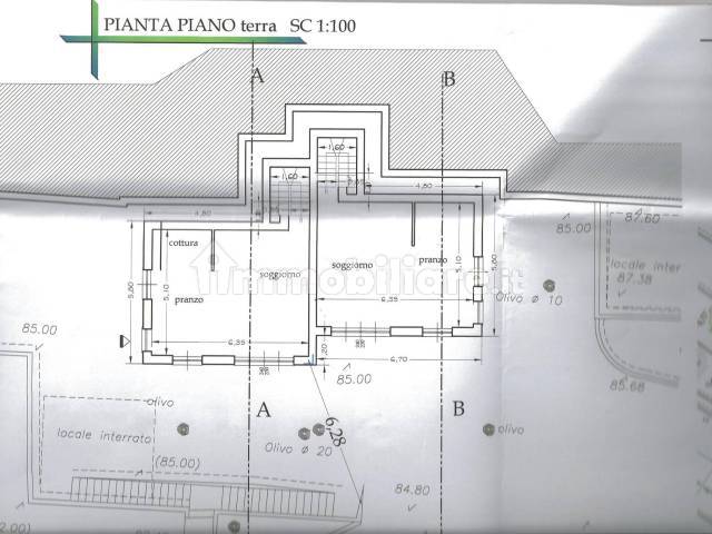 Pianta piano T