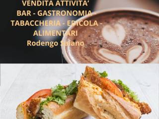 Negozi in vendita Rodengo Saiano Immobiliare