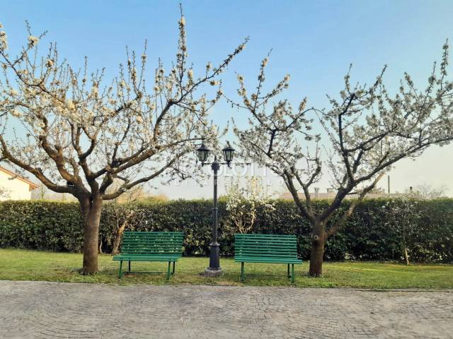 villa vendita crespano giardino panorama22