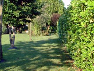 015-giardino lato sud C.JPG