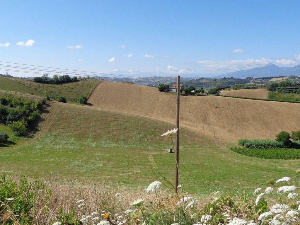 Terreno agricolo strada frescondino, valenza