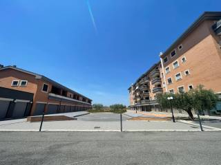 Zona