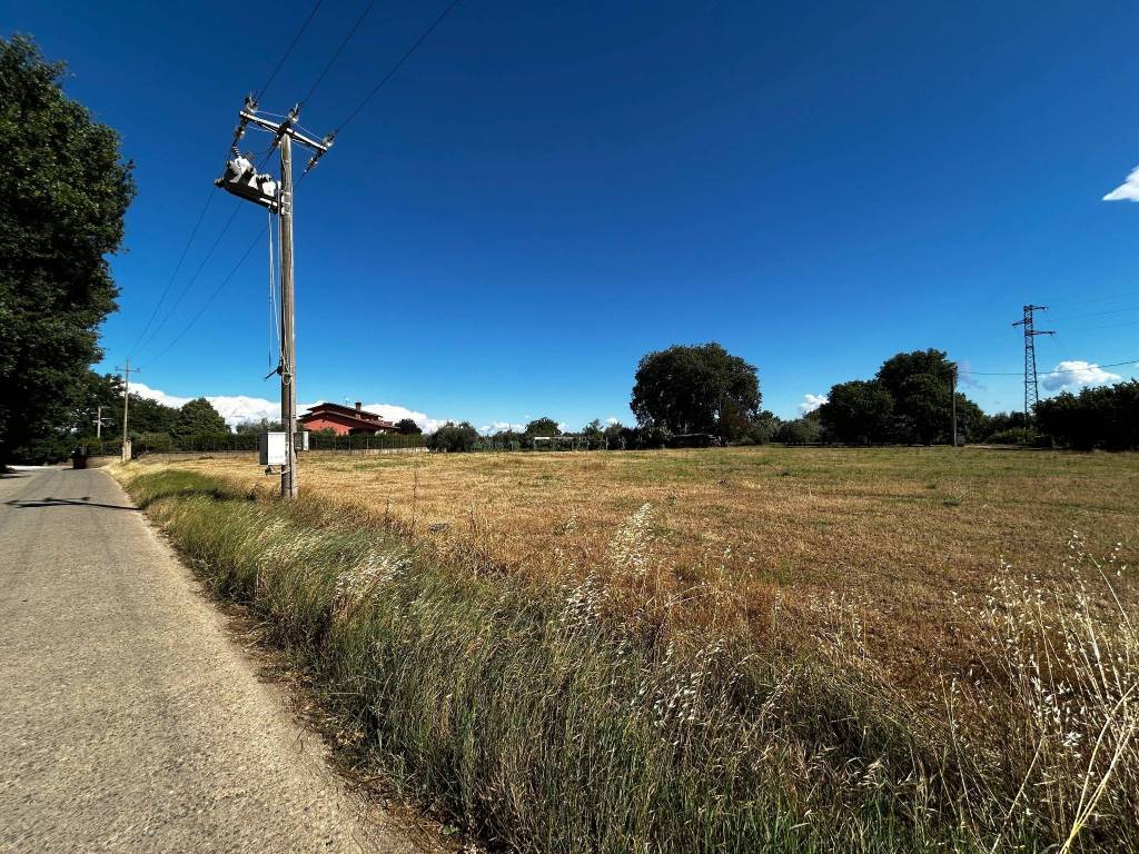 Terreno agricolo via giotto filesi, vasanello