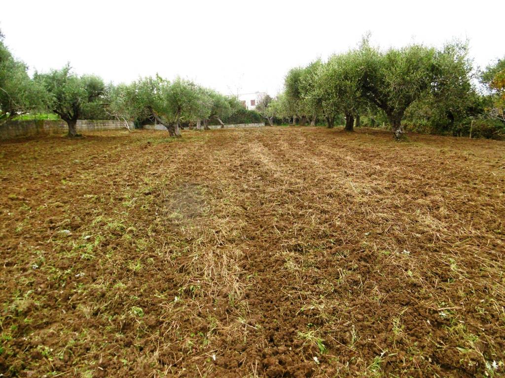 Terreno agricolo contrada ponte di naso 116, cresta, naso