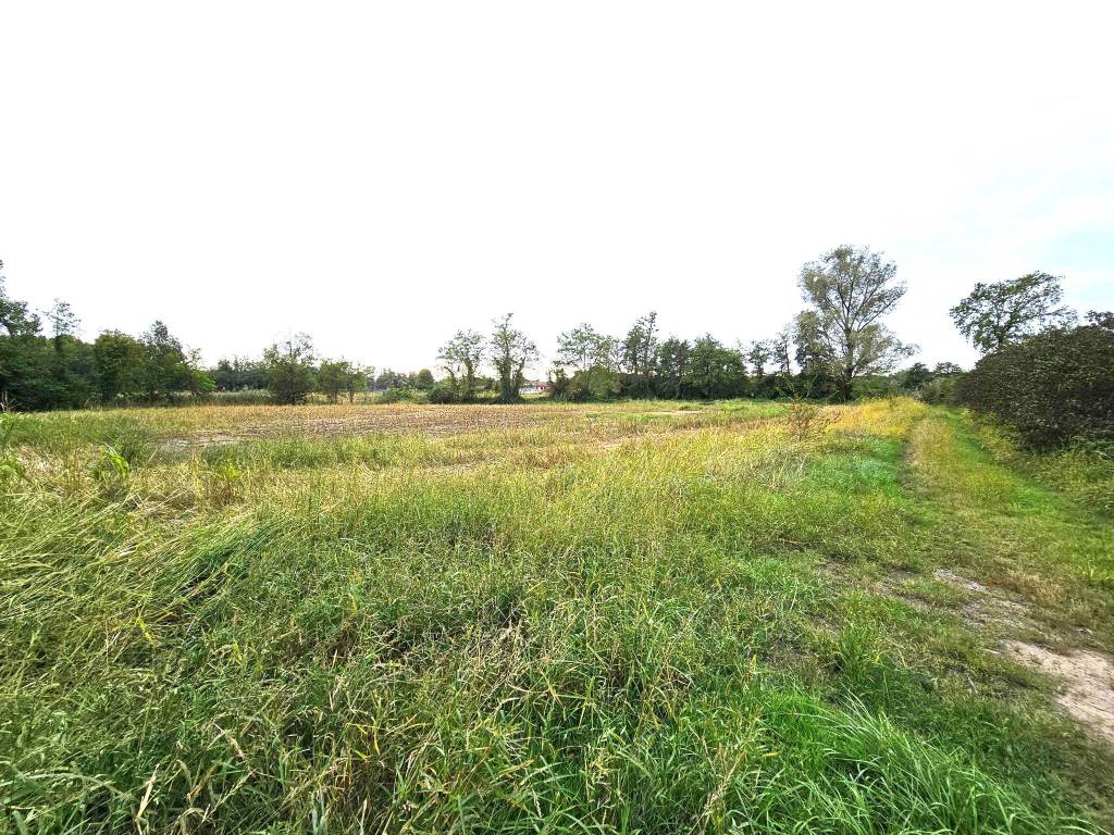 Terreno agricolo, anzano del parco