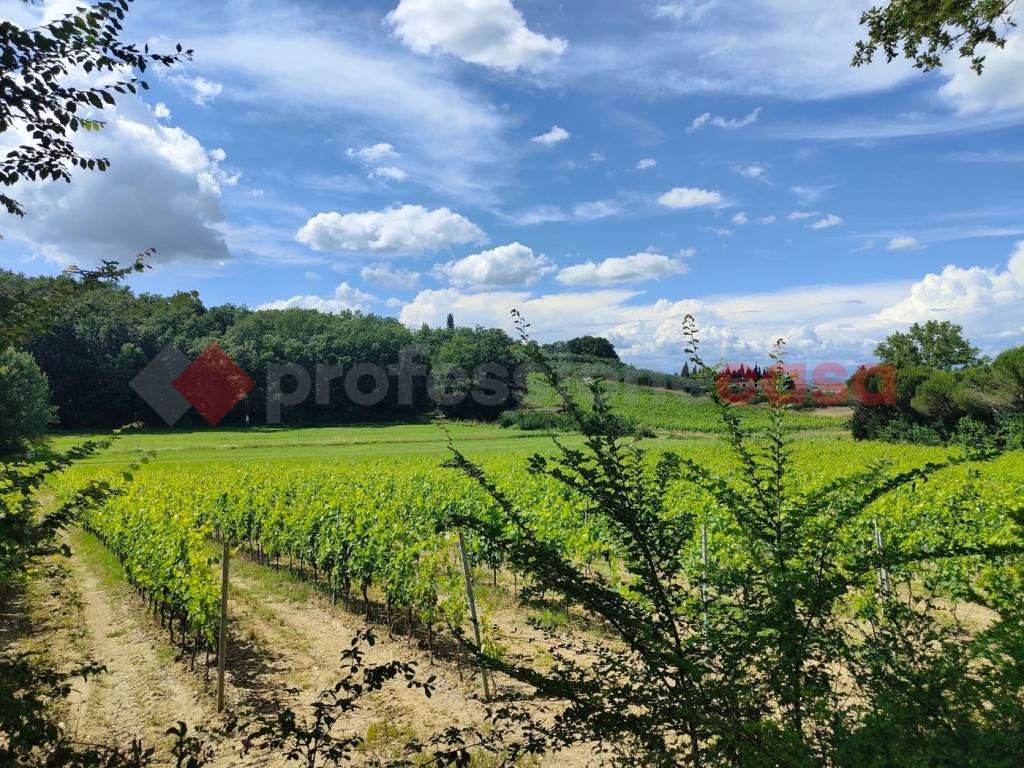 Terreno agricolo via delle poggiole 3, cerbaiola - corniola, empoli