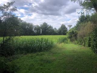 img 5198 wmk 0