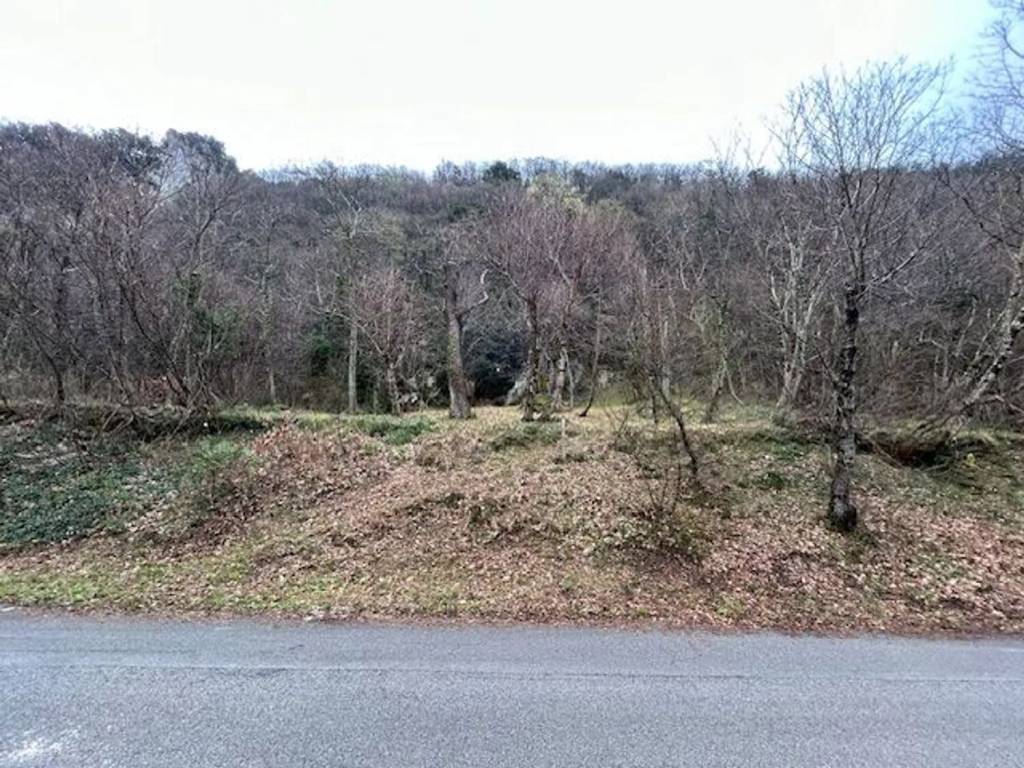 Terreno non edificabile avigliano san c., campagna