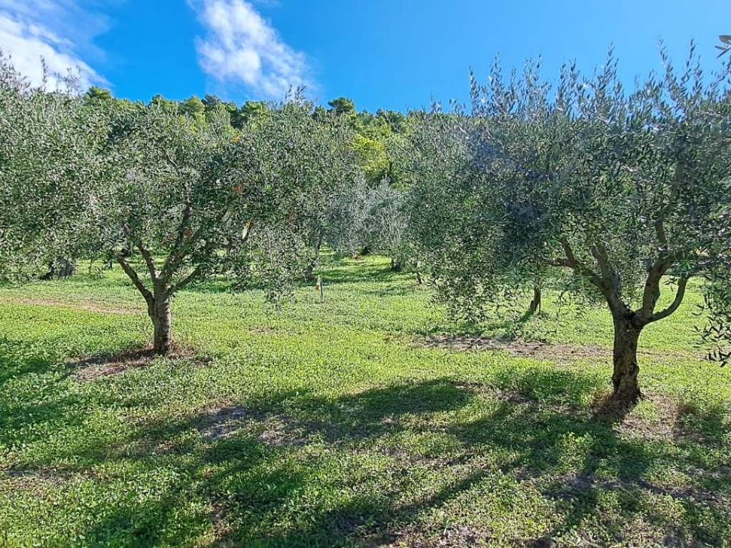 Terreno agricolo vicinato, eggi, bazzano, borgiano, vallocchia, spoleto