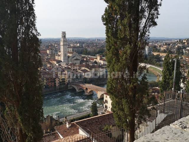 Verona