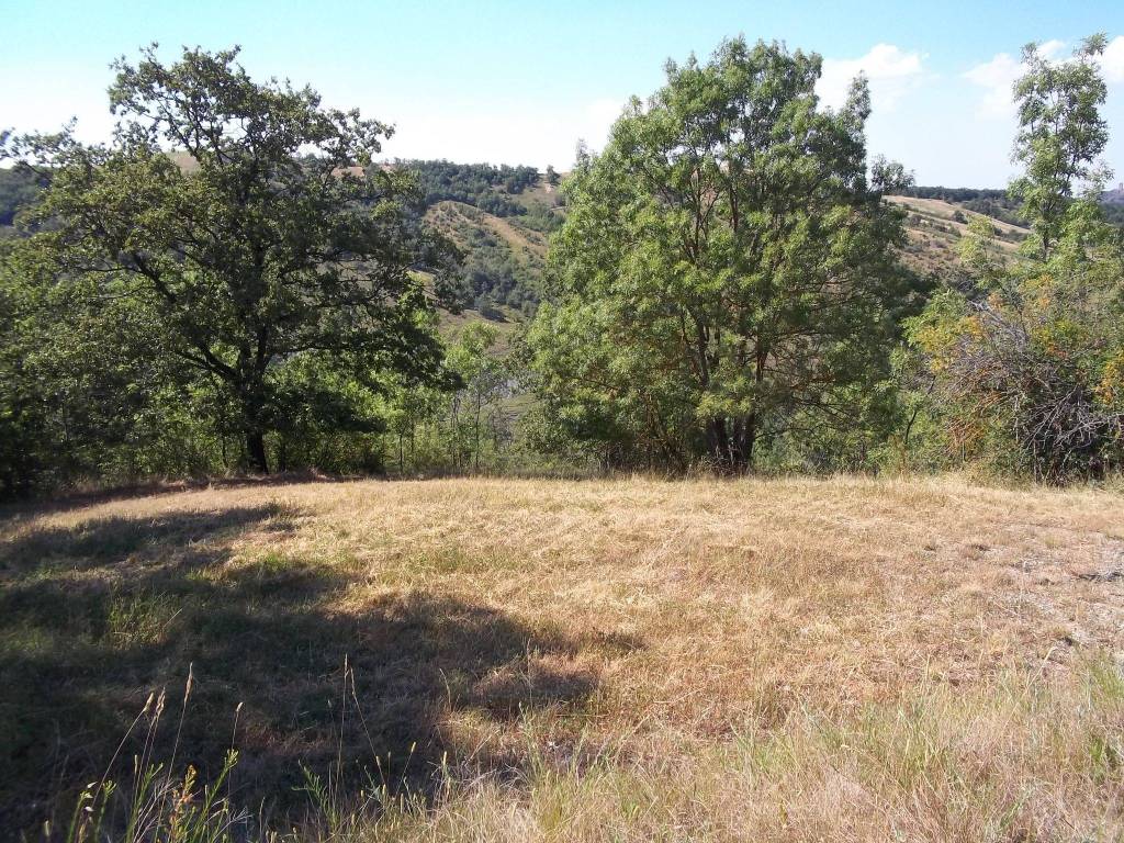 Terreno agricolo via manini 21, canossa