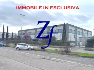 Zona