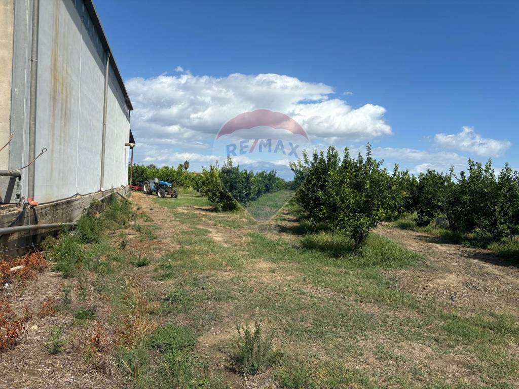 Azienda agricola via san giusto 15, policoro