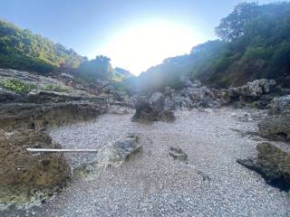 Zona Circostante