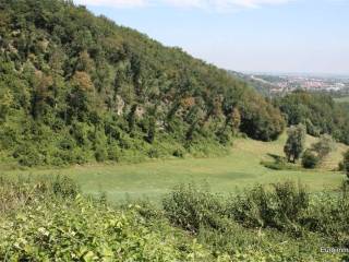 Vista