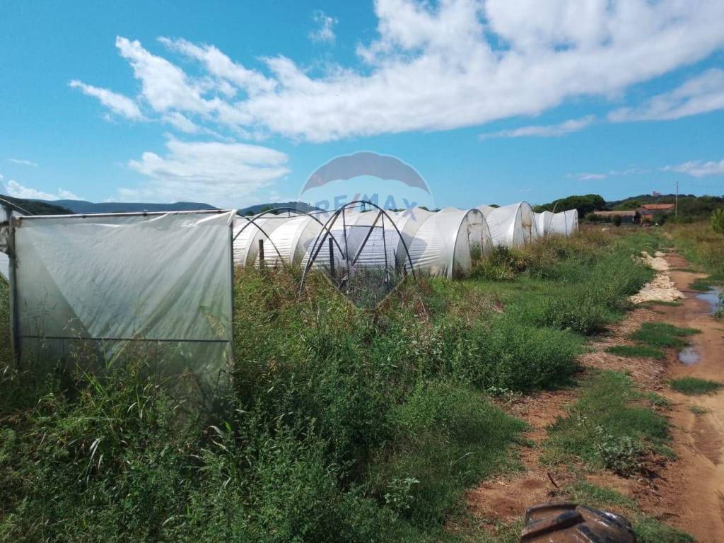 Terreno agricolo località sant'albinia, piombino