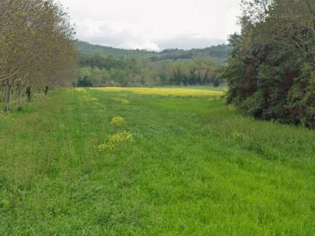 Terreno agricolo strada vicinale della cartiera, loreto aprutino