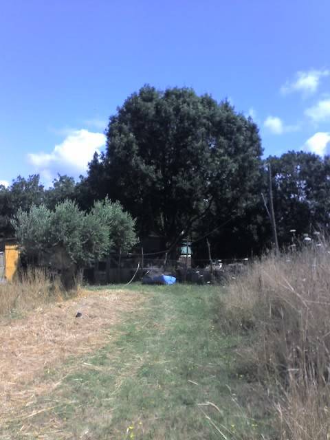 Terreno agricolo via fasanella, cogna, aprilia