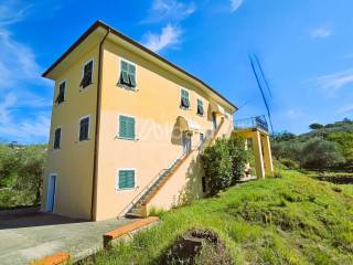 IN382_villa storica-bifamiliare in vendita con ter