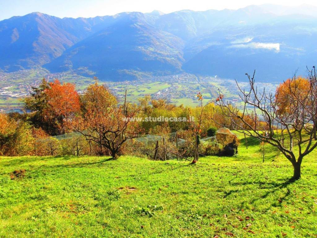 Terreno