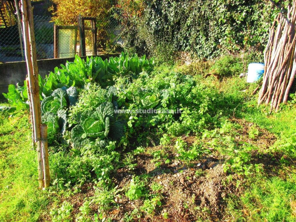 Giardino