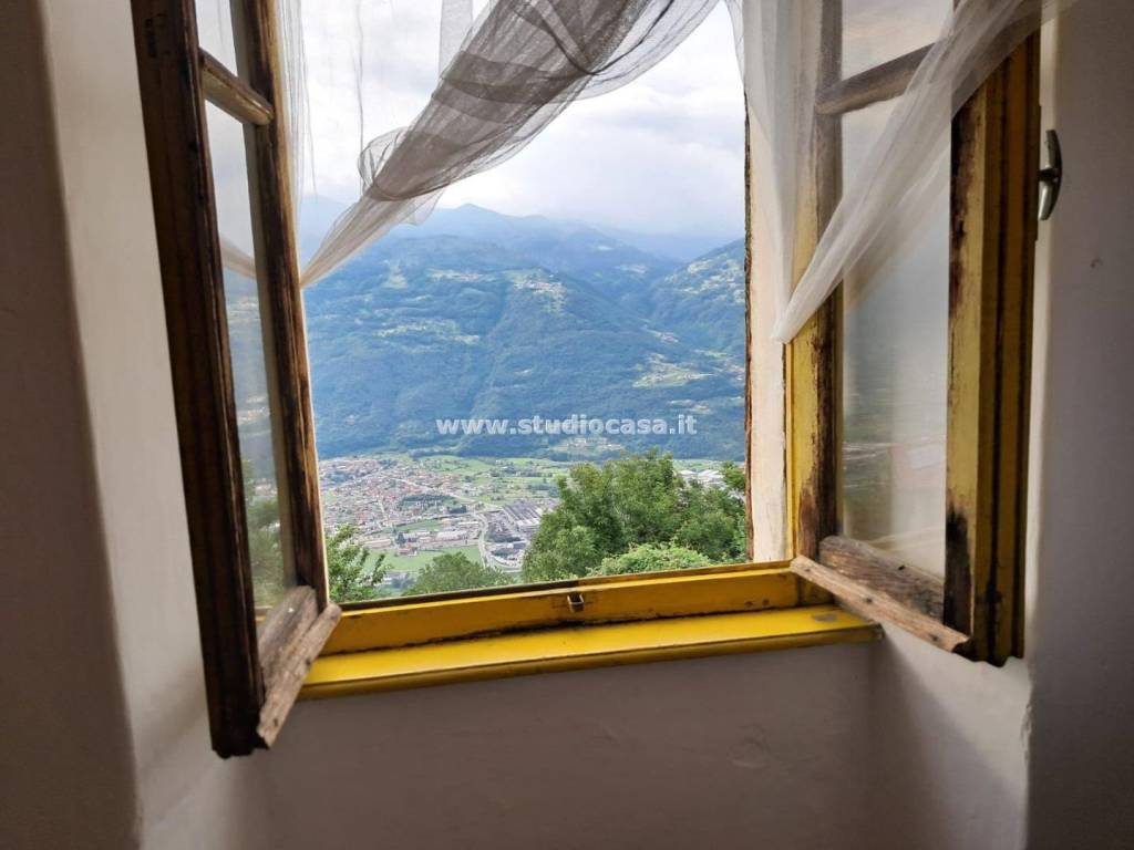 Vista