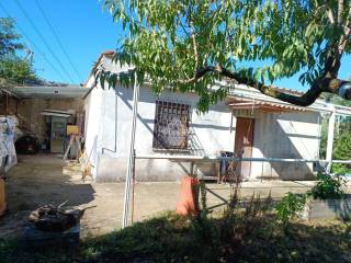WhatsApp Image 2024-09-24 at 10.15.27 (1)