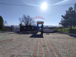 Zona