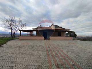 Zona