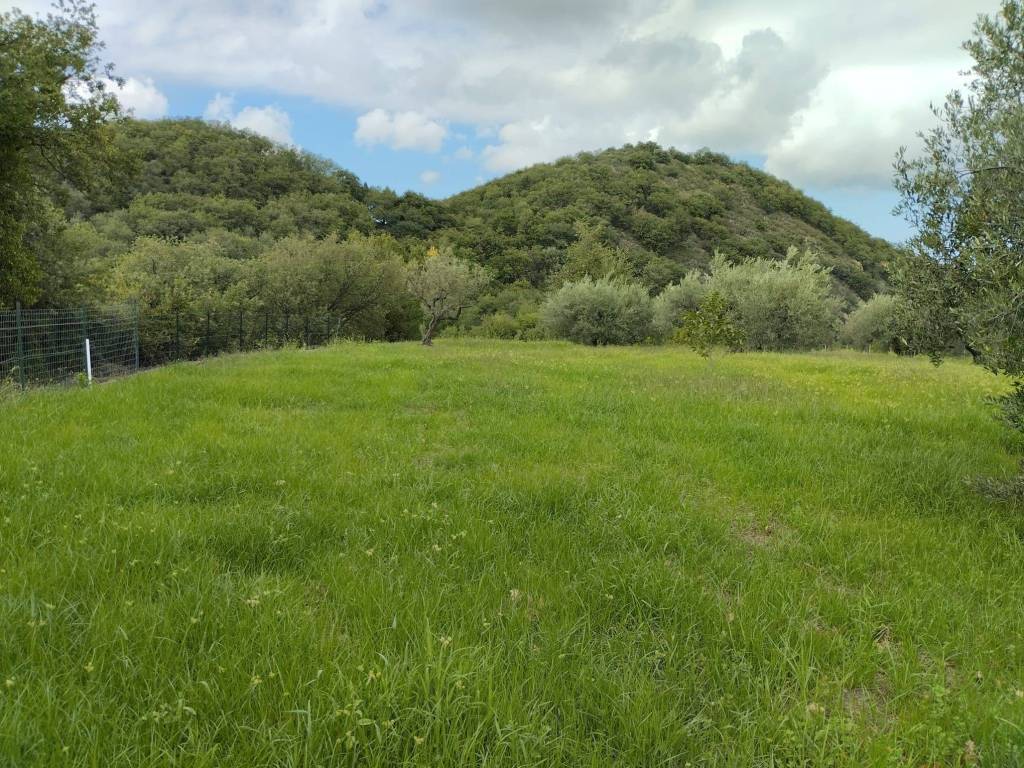 Terreno agricolo contrada sicaminò, santa lucia del mela