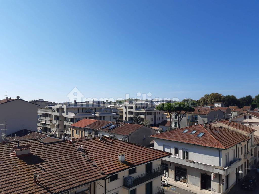 Vista