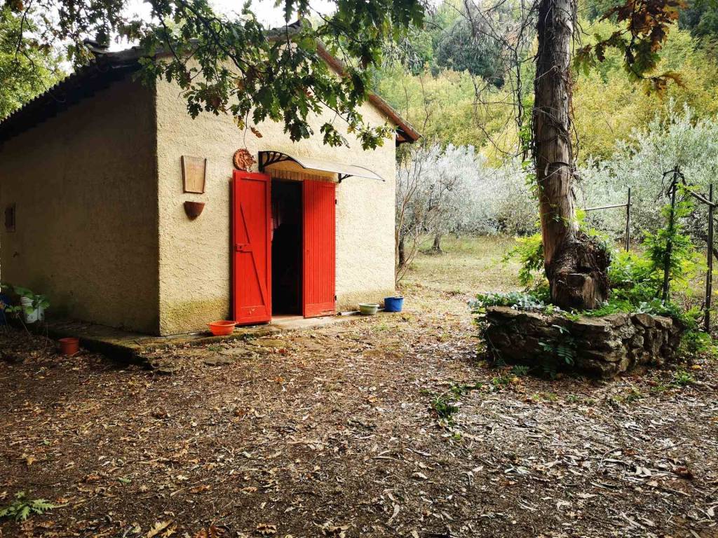 Rustico 6625 m², guardistallo