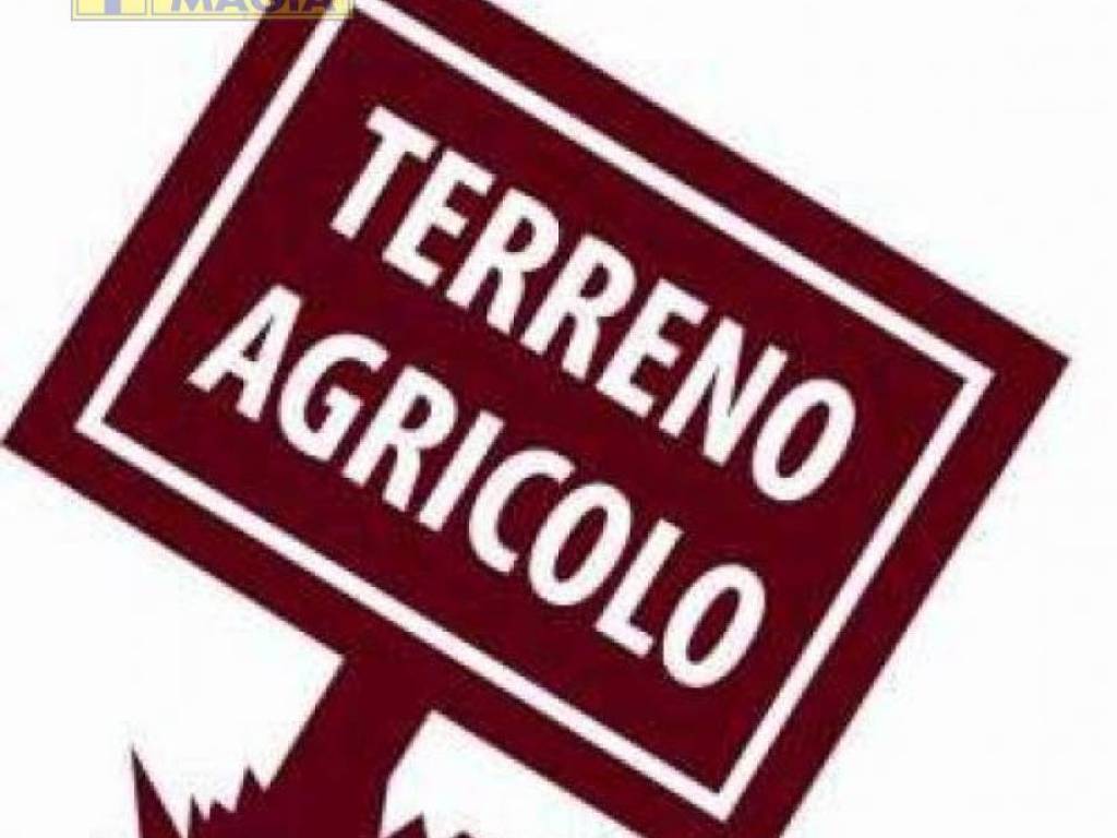 Terreno agricolo gabbiano, castel di lama