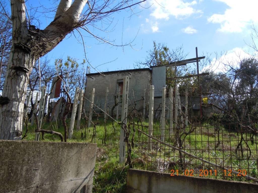 Terreno agricolo via cappelli, centro, pollena trocchia