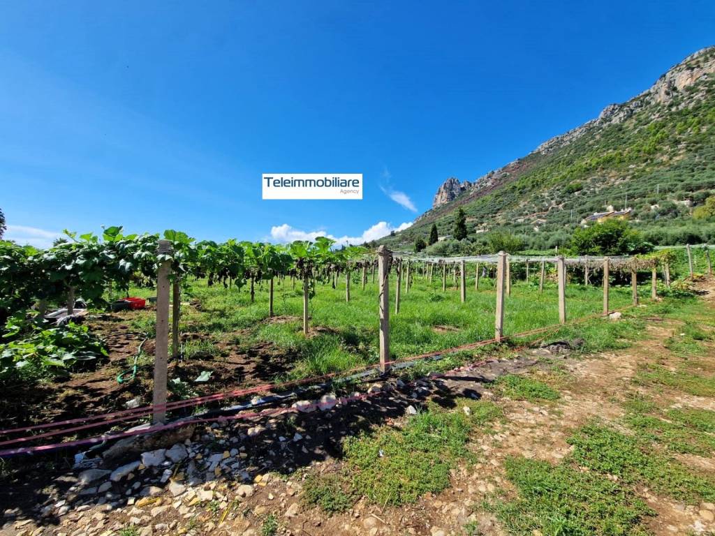 Terreno edificabile via caselle 2, casaletti, san silviano, terracina