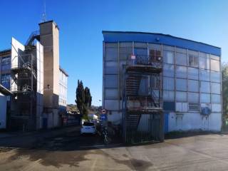 Zona