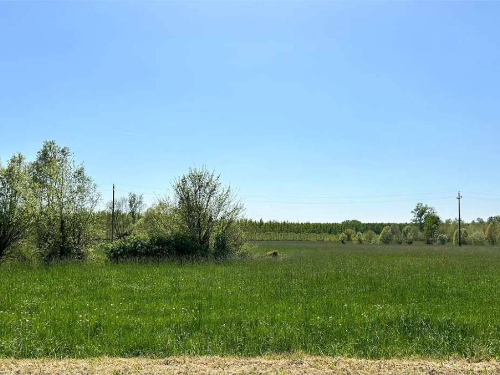 Terreno agricolo, pasiano, pasiano di pordenone