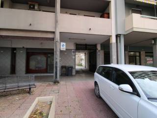 Zona