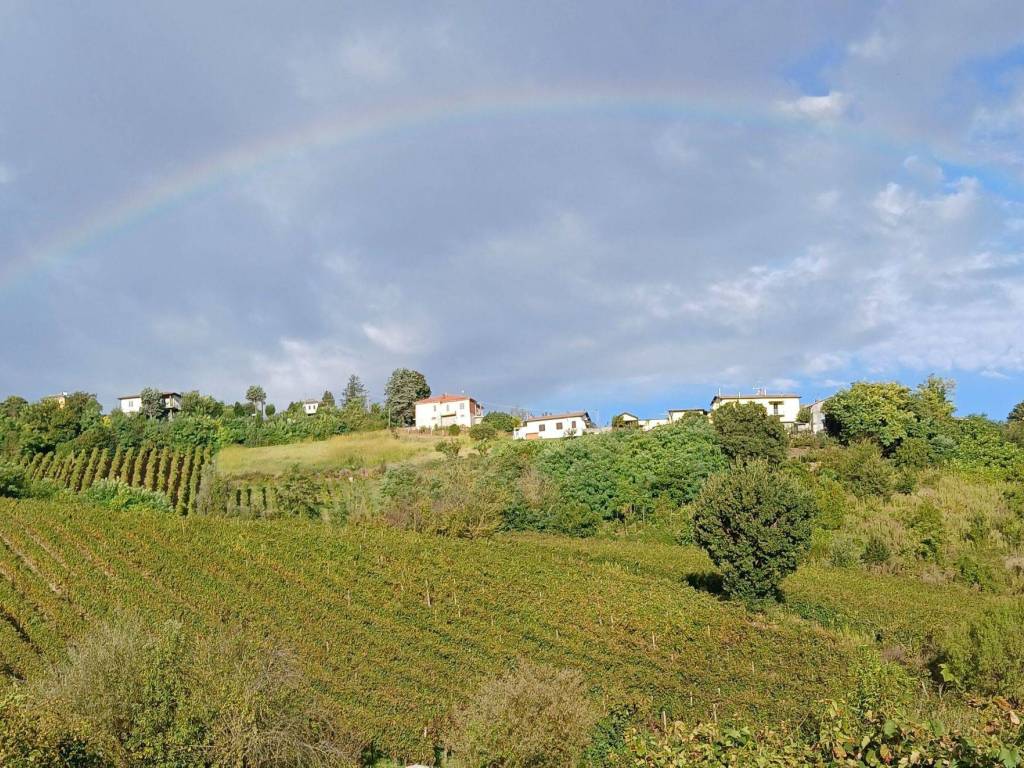 Terreno agricolo via strada valle, fumo, corvino san quirico