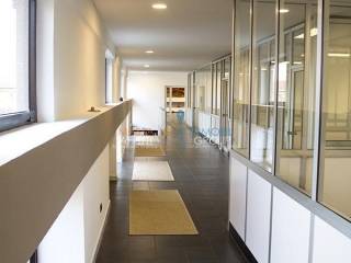 WhatsApp Image 2023-05-04 at 13.31.43 (2).jpeg