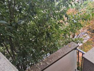 Affitto Appartamento Firenze. Bilocale in via Lungo il Mugnone ...