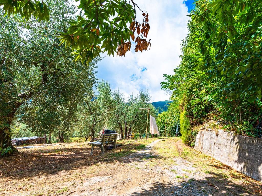 Terreno edificabile villa di piteccio, piteccio, pistoia